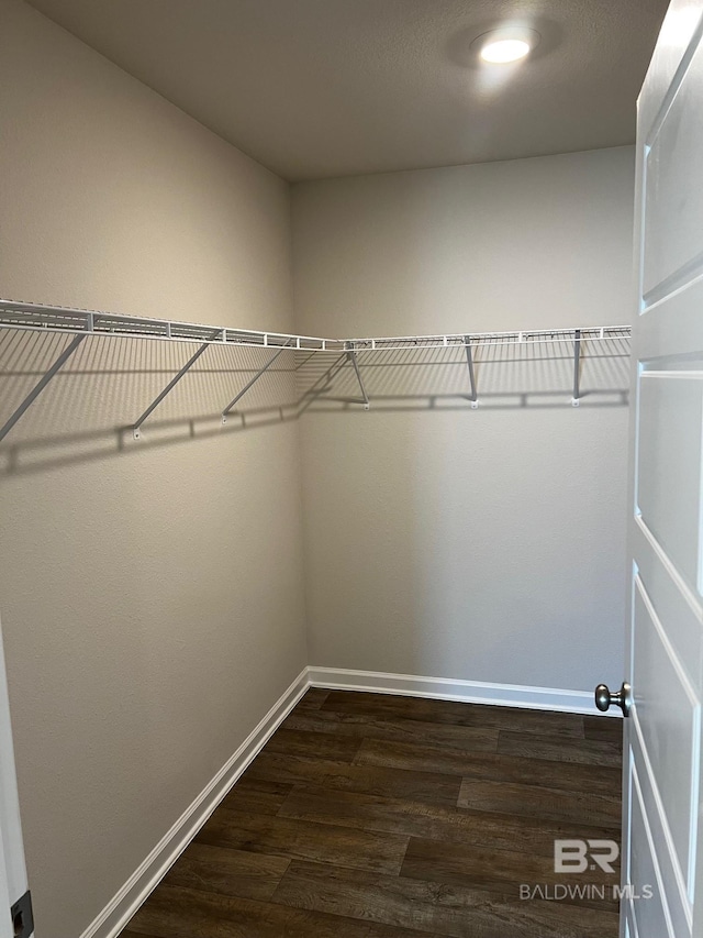 walk in closet featuring dark wood-style floors