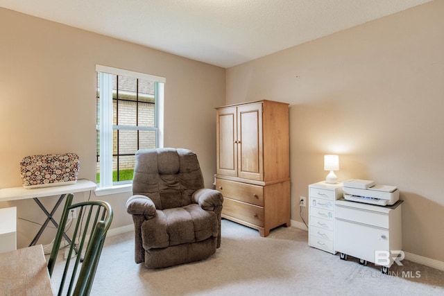 living area with light colored carpet