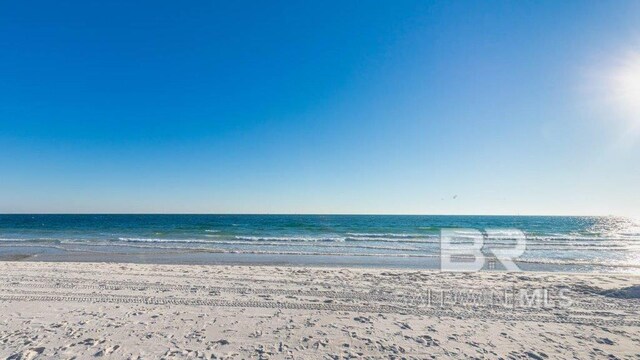 water view featuring a beach view