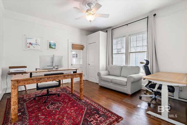 office featuring wood finished floors and a ceiling fan