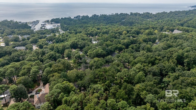 birds eye view of property with a water view and a forest view