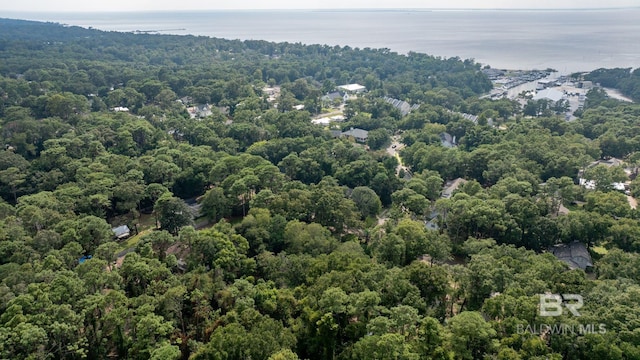 aerial view featuring a water view and a wooded view