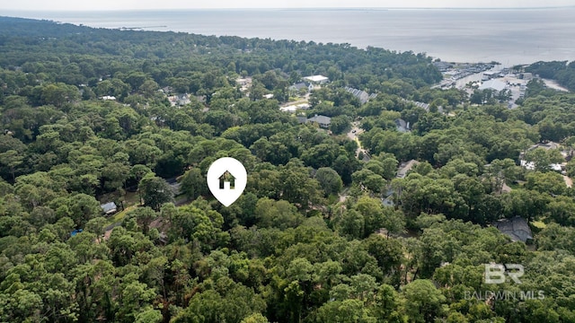 birds eye view of property with a water view and a wooded view