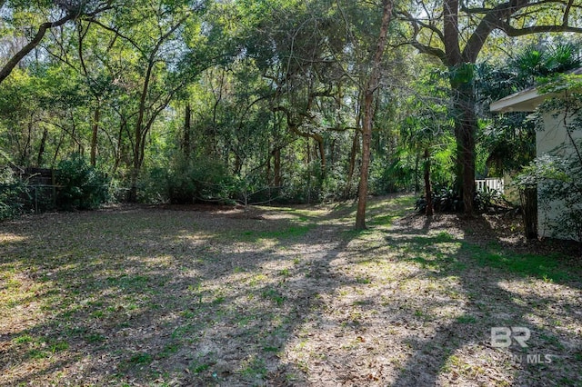 view of yard with a wooded view