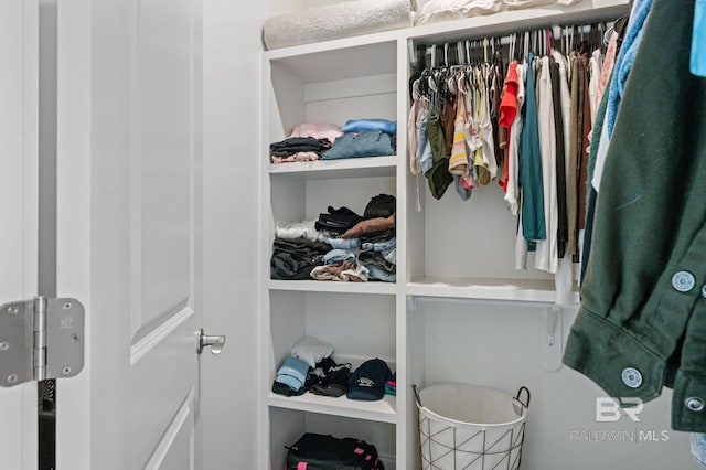 view of closet