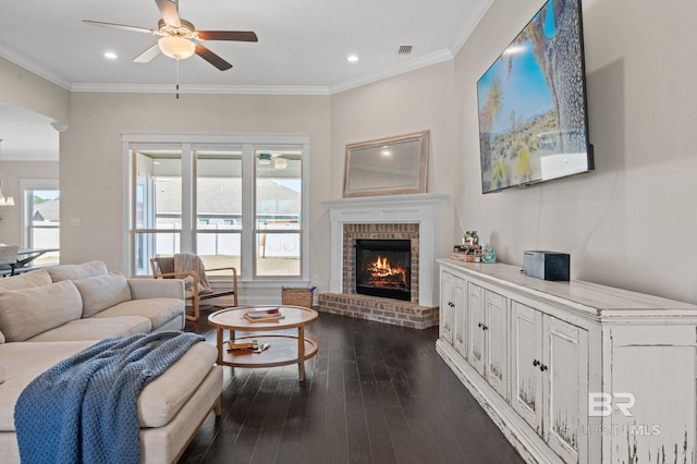 living room featuring crown molding, a fireplace, ceiling fan, and dark hardwood / wood-style floors