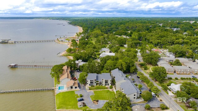 210 S Mobile St Unit 16, Fairhope, AL 36532 - bird's eye view of a large body of water and a forest