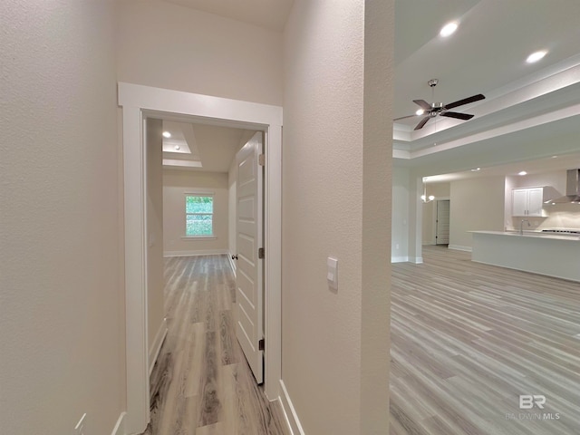 hall with a tray ceiling and light hardwood / wood-style floors