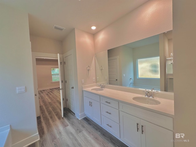 bathroom with a washtub, vanity, wood-type flooring, and a healthy amount of sunlight