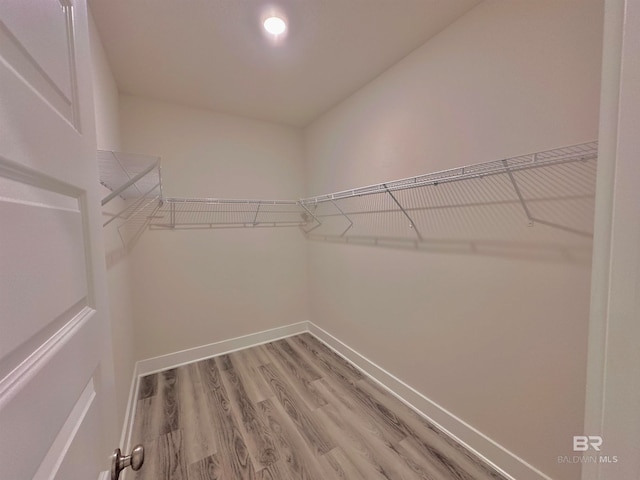 spacious closet featuring hardwood / wood-style floors