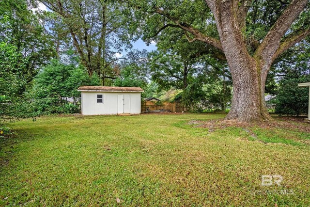 view of yard with a storage shed