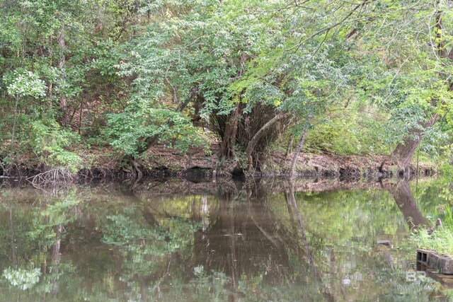 5039 W Cole Dr, Mobile, AL 36619 - view of nature