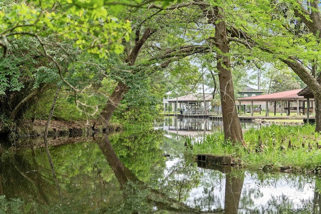 5039 W Cole Dr, Mobile, AL 36619 - surrounding community featuring a water view
