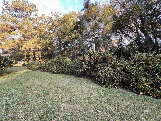 5039 W Cole Dr, Mobile, AL 36619 - view of yard