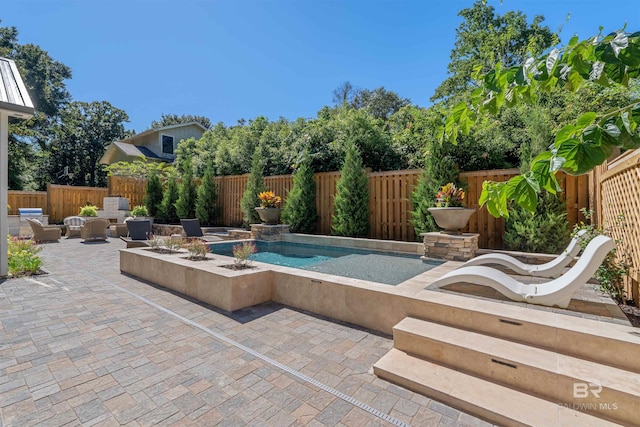 view of swimming pool with a patio area