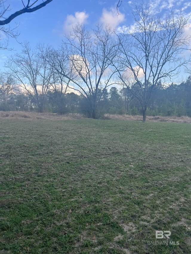 0 W Johnson Rd, Mobile AL, 36695 land for sale