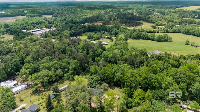 bird's eye view with a forest view