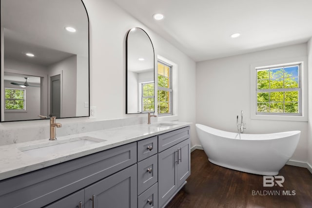 bathroom featuring a healthy amount of sunlight, a sink, and wood finished floors