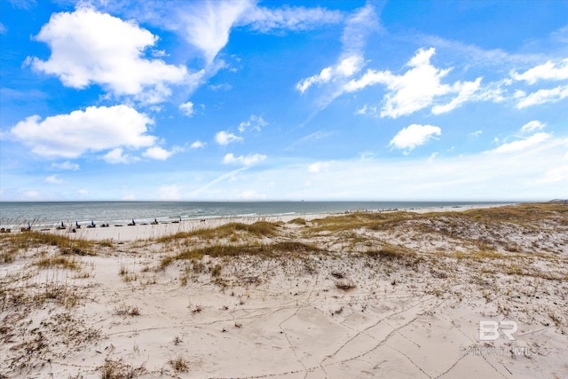 property view of water with a beach view