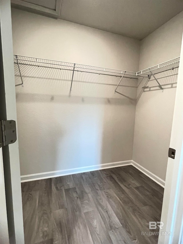 walk in closet featuring dark hardwood / wood-style floors