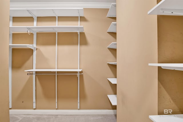 spacious closet featuring carpet floors