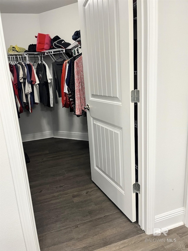 spacious closet featuring wood finished floors