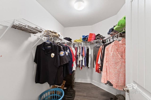 spacious closet featuring dark wood-style flooring