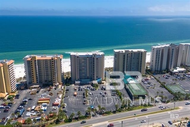 bird's eye view with a water view and a view of the beach