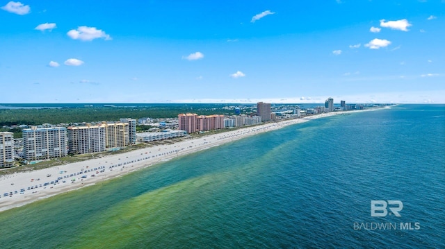 bird's eye view with a view of the beach and a water view