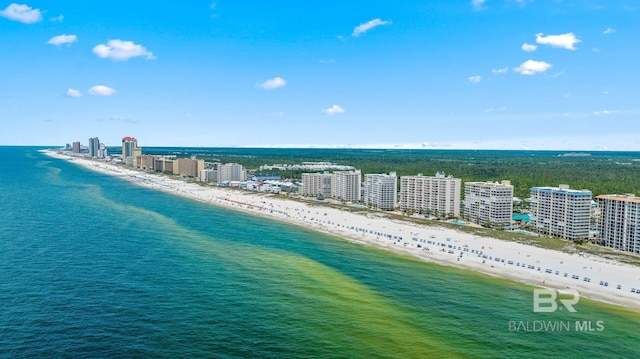 bird's eye view with a water view and a beach view