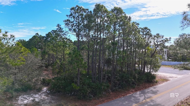 Listing photo 2 for 0 Gulf Way Dr, Gulf Shores AL 36542