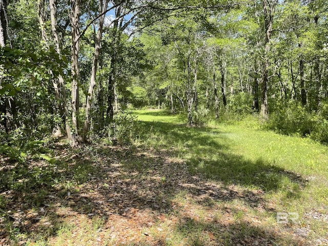 12200 County Road 87, Elberta, AL 36530