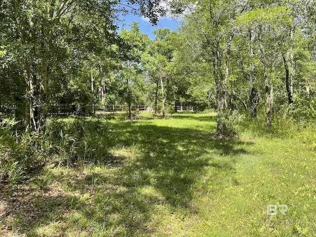 12200 County Road 87, Elberta, AL 36530