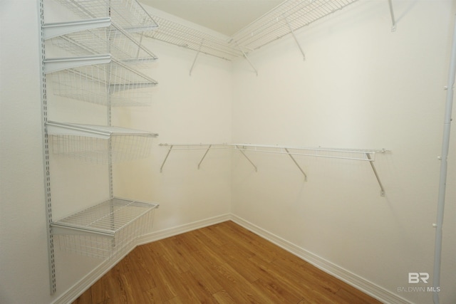 spacious closet featuring hardwood / wood-style flooring