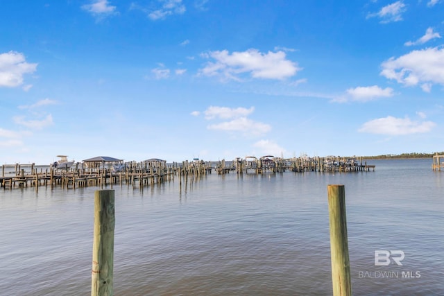 dock area with a water view