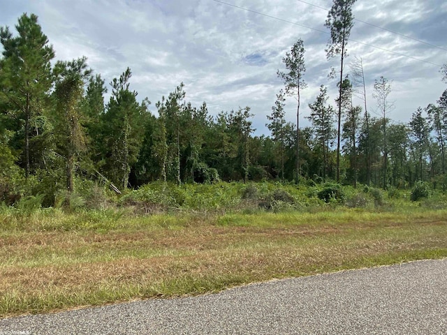 LOT2-23799 Lonnie Hadley Rd, Perdido AL, 36562 land for sale