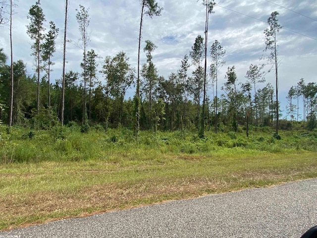 Listing photo 2 for LOT2-23799 Lonnie Hadley Rd, Perdido AL 36562