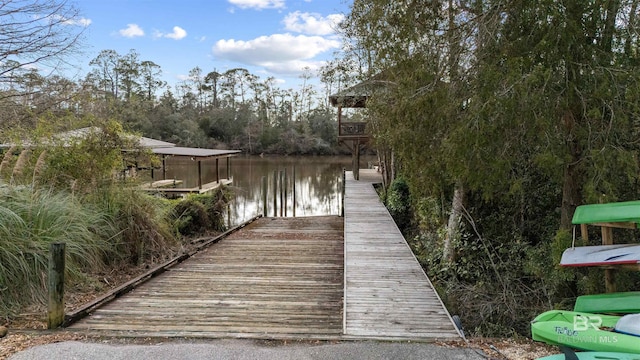 dock area with a water view