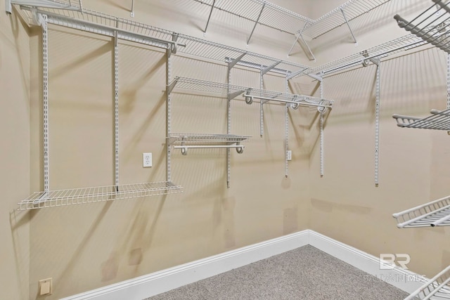 spacious closet with carpet floors