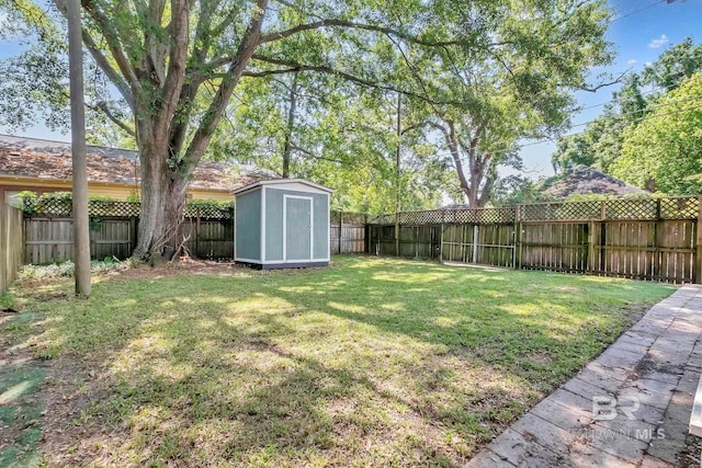 view of yard with an outbuilding, a fenced backyard, and a storage unit