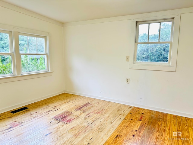 empty room with light wood-type flooring and plenty of natural light