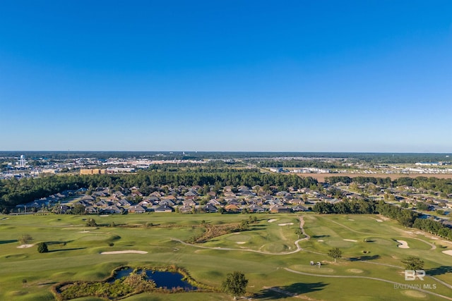 bird's eye view