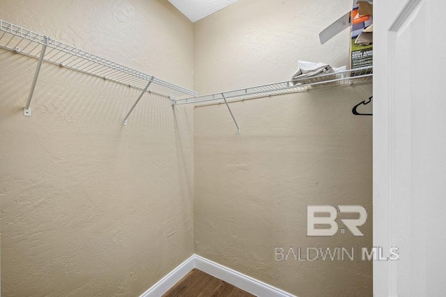 walk in closet featuring hardwood / wood-style flooring
