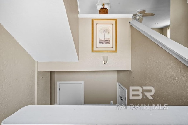 interior space featuring ceiling fan