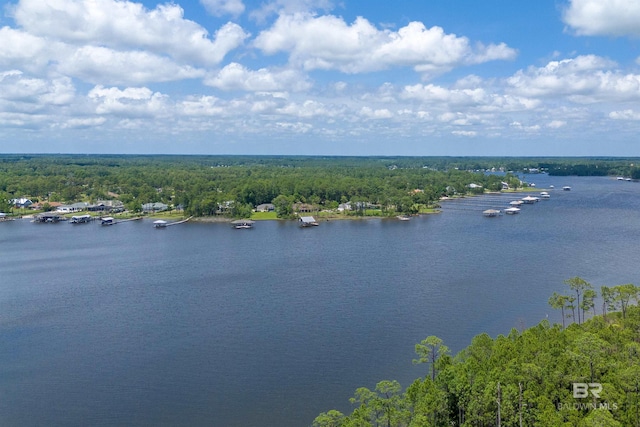 8160 Bay View Dr, Foley, AL 36535 - water view featuring a forest