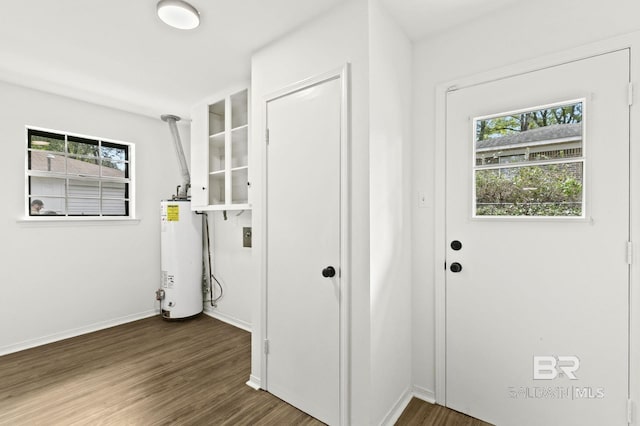 foyer entrance with dark hardwood / wood-style flooring and gas water heater