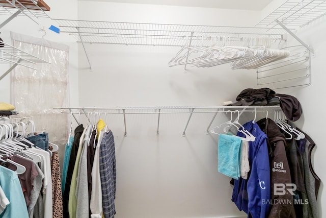 5100 Pine Way, Orange Beach, AL 36561 - view of walk in closet