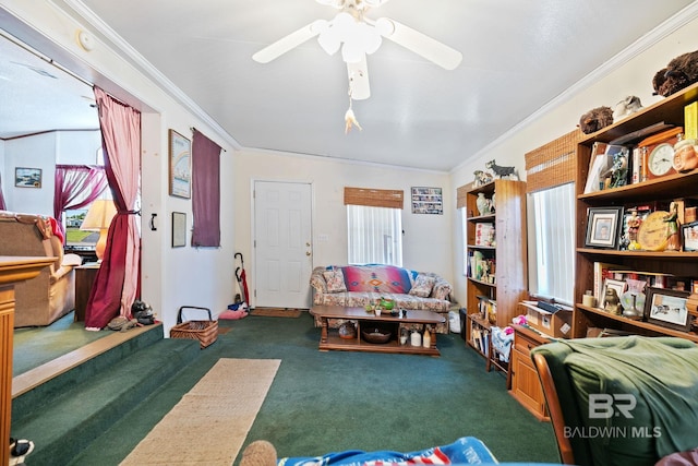 living room with a wealth of natural light, ceiling fan, crown molding, and dark carpet