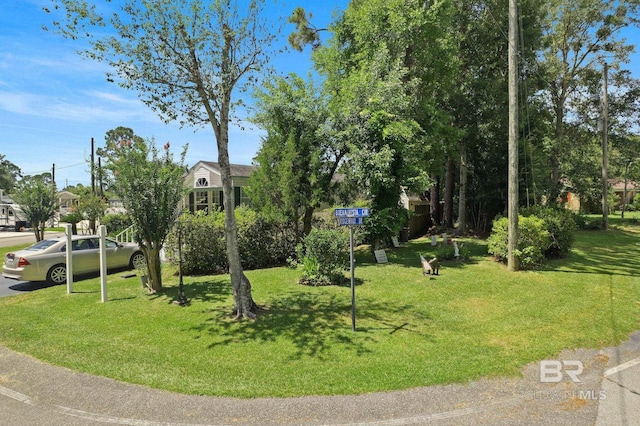 view of front of house with a front yard