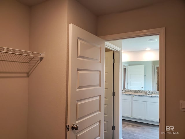 walk in closet featuring sink and wood-type flooring